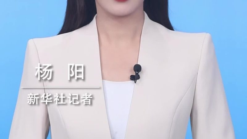 上海互联网技术方案商，选对服务比选大厂更重要